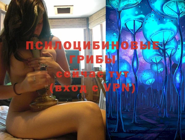 каннабис Беломорск