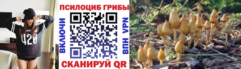 Псилоцибиновые грибы мухоморы  МЕГА зеркало  Буйнакск 